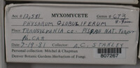 Image Associated With the Occurence